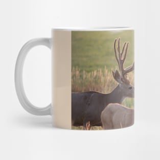 The Majestic Couple Mug